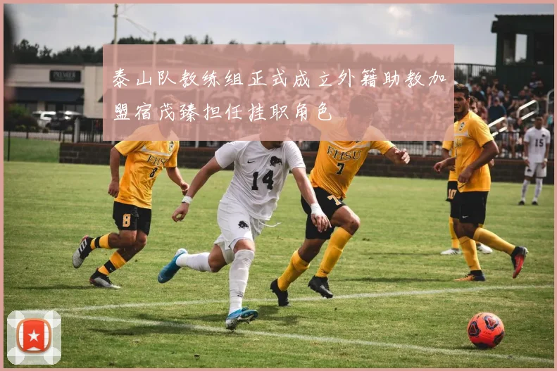 泰山队教练组正式成立外籍助教加盟宿茂臻担任挂职角色