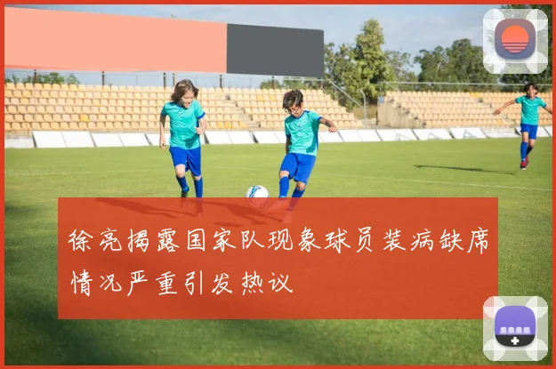 徐亮揭露国家队现象球员装病缺席情况严重引发热议